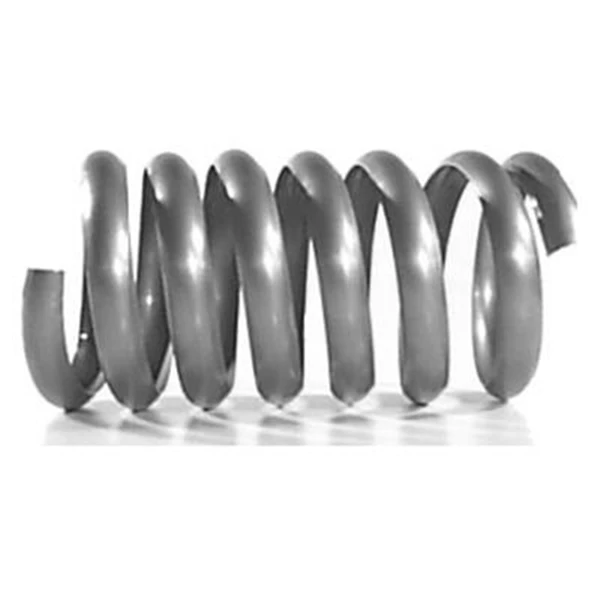 Rheinzink Accessoires Descentes Bague Spirale Zinc Sans Bords 3 Rheinzink Accessoires Descentes Bague Spirale Zinc Sans Bords